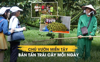 Không thu tiền vé vào cổng, chủ vườn Cần Thơ bán hơn 1 tấn trái mỗi ngày