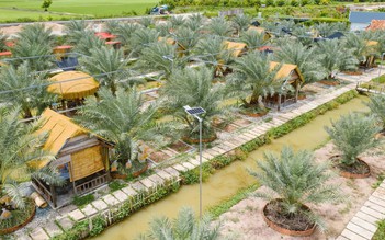 Chàng trai miền Tây biến vườn chà là ở vùng biên thành điểm du lịch hấp dẫn