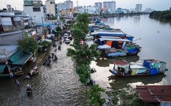 Sớm quy hoạch cốt nền để chống ngập, ngăn TP.HCM chìm dần