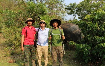 Vào rừng sâu Liên Sơn Lắk tìm voi sống tự do giữa đại ngàn Tây nguyên