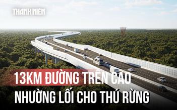 Choáng ngợp ảnh phối cảnh con đường trên cao xuyên rừng để nhường lối cho thú rừng