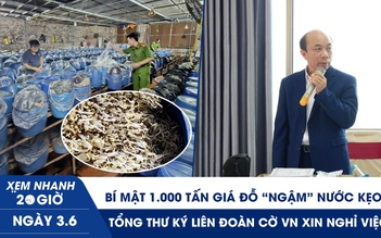 Xem nhanh 20h ngày 3.6: Bí mật 1.000 tấn giá đỗ ‘ngậm’ nước kẹo | Tổng thư ký Liên đoàn Cờ VN xin nghỉ việc