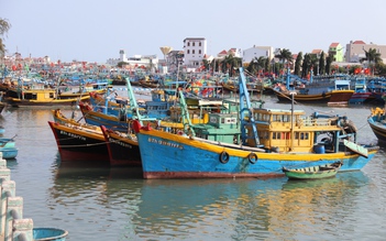 Lâm Đồng mở cao điểm siết IUU, chặn tàu cá vi phạm ngay từ trong bờ