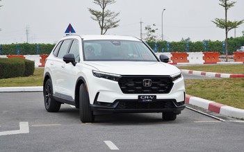 Xe hybrid có 'kén' xăng E10?