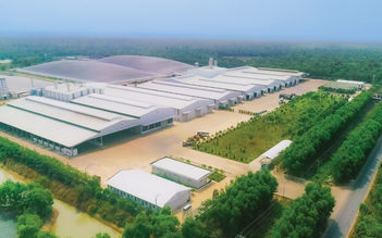 1.001 chuyện cây sắn và ethanol: Đến thủ phủ của sắn 1.001 chuyện cây sắn và ethanol: Đến thủ phủ của sắn