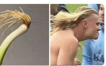 Cọng hành ‘giống’ Haaland gây sốt mạng, chính chủ cũng phải vào cuộc: ‘Lời bình’ cười vỡ bụng


