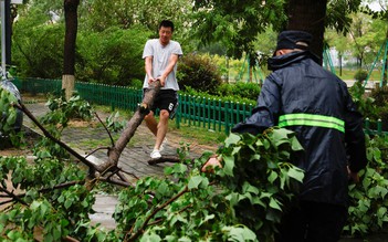 Bão Bavi quần thảo miền đông Trung Quốc