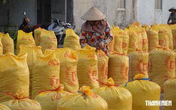 Gạo Việt Nam đối mặt sức ép lớn
