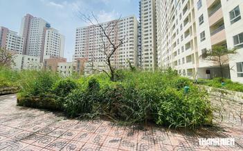 ‘Hồi sinh’ nhà tái định cư bỏ hoang