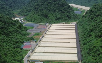 5 người chết và 2 người bị thương trong trang trại Dabaco