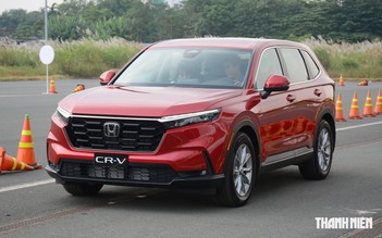 Những ô tô 'chủ lực' doanh số của các hãng xe tại Việt Nam nửa đầu 2026