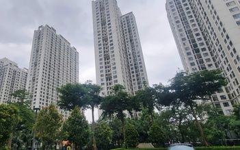 Chuyển nhượng bất động sản được miễn thuế thu nhập cá nhân khi nào?