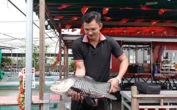 Bè nuôi cá thành điểm du lịch 'triệu view', chàng trai miền Tây thu nhập tiền tỉ