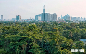 TP.HCM giảm gần 60.000 ha đất nông nghiệp trong 5 năm tới