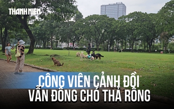 Công viên Cảnh Đồi vẫn đông chó thả rông, không rọ mõm: Lãnh đạo phường nói gì?