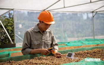 Kinh nghiệm vượt qua các rào cản thương mại