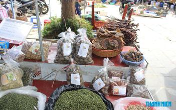 Cây thuốc, 'mỏ vàng xanh' tỉ USD
