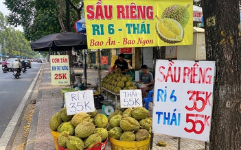 Giá sầu riêng giảm mạnh, vì sao?