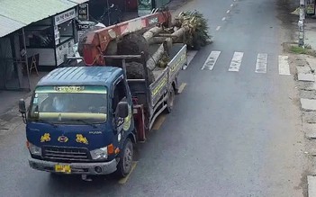 Xử lý tài xế chở hàng quá khổ bị camera giám sát ghi hình