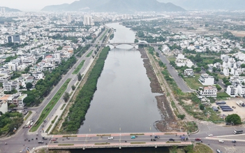 Vì sao chặt hàng cây trên sông Quán Trường ở Nha Trang?