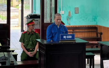 Phá gãy ngai vàng triều Nguyễn, Hồ Văn Phương Tâm lãnh 3 năm 6 tháng tù
