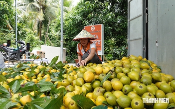 Cô gái miền Tây đưa loại trái bị 'bỏ rơi' thành sản phẩm OCOP 4 sao