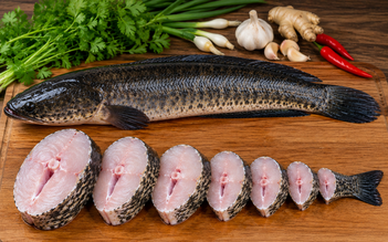 Người đang giảm cân nên ăn những loại cá nào?