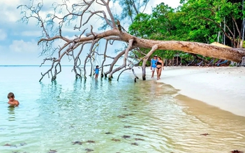 Bãi biển 'có một không hai' ở Việt Nam vào top đẹp nhất thế giới