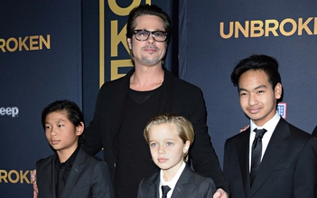 Brad Pitt tuyên bố sẽ không từ bỏ các con