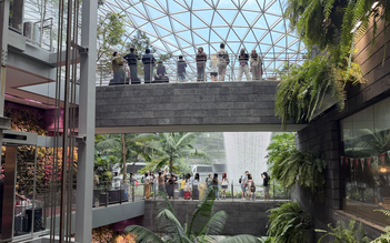 Vì sao khách Việt đang ít đến Singapore?