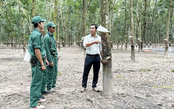 Những sáng kiến nảy mầm trên đất Kampong Thom