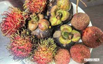 Tối chỉ ăn trái cây để giảm cân, bác sĩ cảnh báo điều này