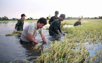 Nước đang về ĐBSCL nhưng lũ vẫn thấp
