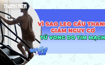 Vì sao leo cầu thang mỗi ngày có thể giảm nguy cơ tử vong do bệnh tim?