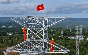 Điện lực miền Nam: Vượt khó ‘về đích’ 3 công trình trọng điểm phục vụ APEC 2027