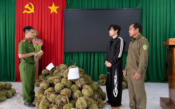 Bắt giữ nghi phạm từ Hải Phòng vào Đắk Lắk trộm 1,6 tấn sầu riêng