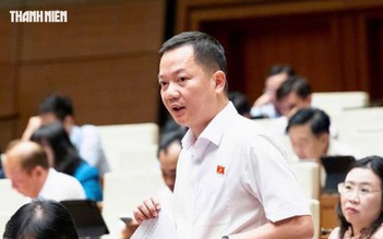 Kiến nghị đưa kim cương vào diện kinh doanh có điều kiện