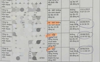 Đóng xong mã số thuế vẫn chật vật 'khai tử' doanh nghiệp