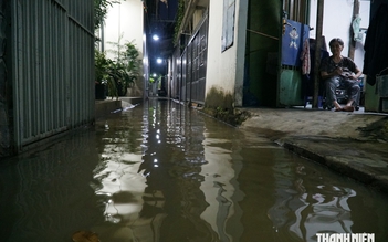 Triều cường trên sông Đồng Nai đến sớm bất thường