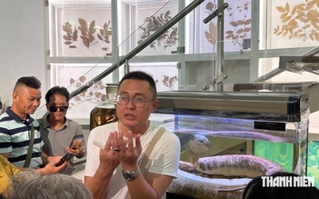 Hướng dẫn viên Trung Quốc 'chiếm sóng' trong Bảo tàng Quảng Ninh Hướng dẫn viên Trung Quốc 'chiếm sóng' trong Bảo tàng Quảng Ninh