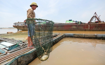 El Nino cường độ rất mạnh, 29 triệu dân hạ du thiếu nước
