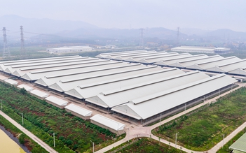 Thị trường thịt bò đa dạng: Người tiêu dùng tìm đâu ra thịt bò chuẩn?