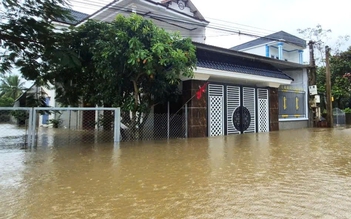 Lũ các sông Hà Nội, Ninh Bình, Thanh Hóa vượt báo động 3