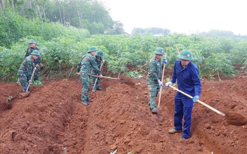 Tìm kiếm hài cốt 11 liệt sĩ đặc công tại khu vực Dốc Miếu ở Quảng Trị