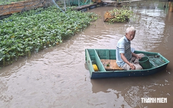 Người dựng chòi giữ đàn cá thiên nhiên ở Cần Thơ: 'Chỉ mong mọi người thương tôi' Người dựng chòi giữ đàn cá thiên nhiên ở Cần Thơ: 'Chỉ mong mọi người thương tôi'