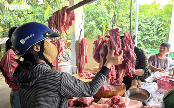 Giá heo hơi hôm nay 26.9.2026: Giảm đồng loạt
