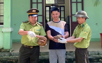 Thuyết phục người dân nhượng lại để giải cứu 2 con tê tê quý hiếm