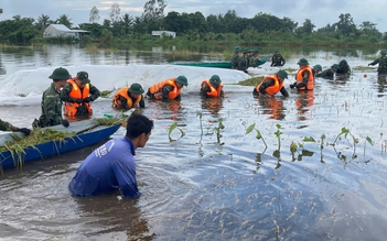 Bộ đội, công an dầm mình cứu lúa giúp nông dân An Giang chạy lũ