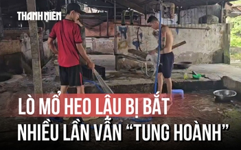 Lò mổ heo lậu sát khu công nghiệp: Bị bắt quả tang, ký cam kết rồi vẫn ngang nhiên hoạt động?
