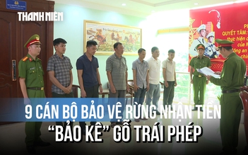 9 cán bộ bảo vệ rừng ở Đắk Lắk nhận hối lộ để xe gỗ lậu lọt chốt thế nào?